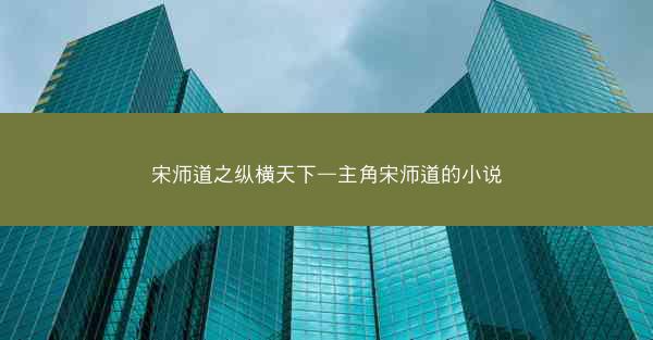 宋师道之纵横天下—主角宋师道的小说