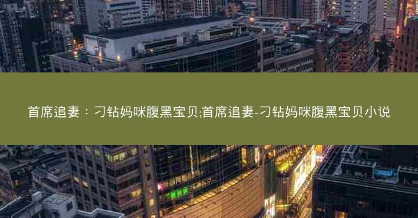 首席追妻：刁钻妈咪腹黑宝贝;首席追妻-刁钻妈咪腹黑宝贝小说