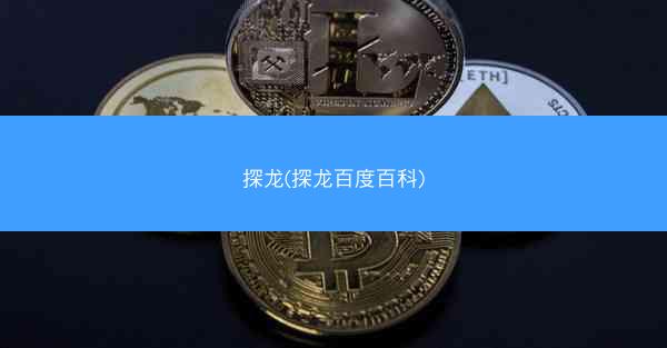 探龙(探龙百度百科)