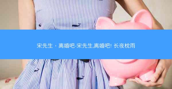 宋先生，离婚吧-宋先生,离婚吧! 长夜枕雨