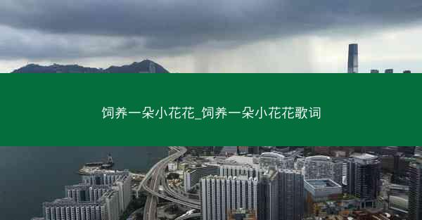 饲养一朵小花花_饲养一朵小花花歌词