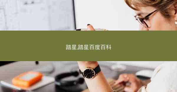 踏星,踏星百度百科