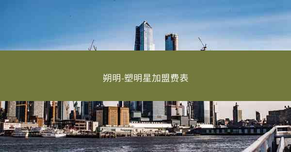 朔明-塑明星加盟费表