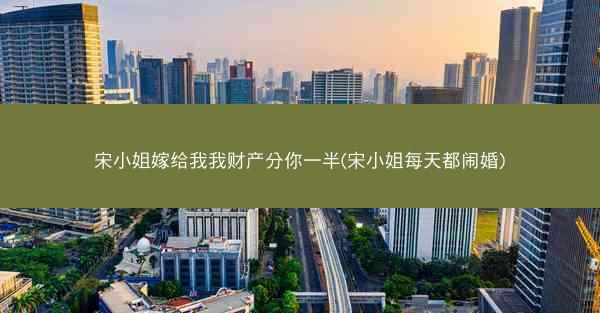 宋小姐嫁给我我财产分你一半(宋小姐每天都闹婚)