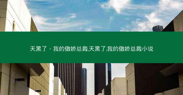 天黑了，我的傲娇总裁,天黑了,我的傲娇总裁小说