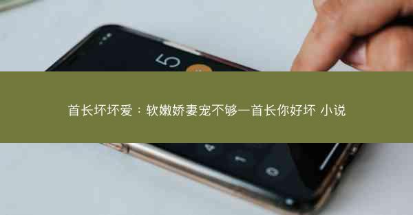 首长坏坏爱：软嫩娇妻宠不够—首长你好坏 小说