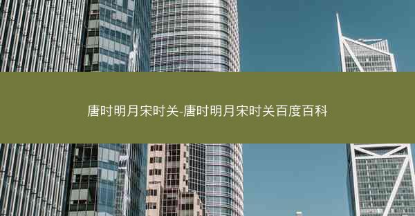 唐时明月宋时关-唐时明月宋时关百度百科