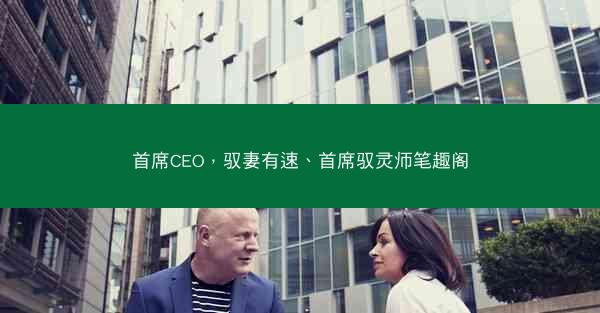 首席CEO，驭妻有速、首席驭灵师笔趣阁