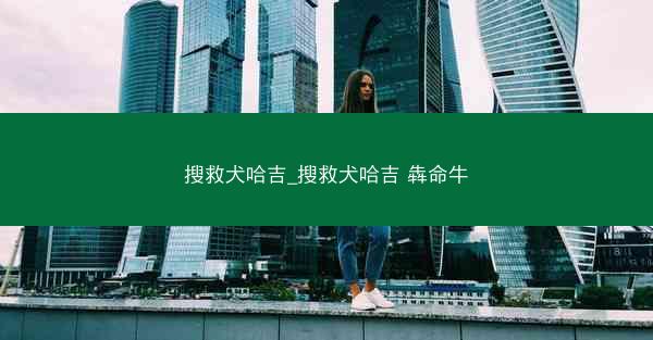 搜救犬哈吉_搜救犬哈吉 犇命牛