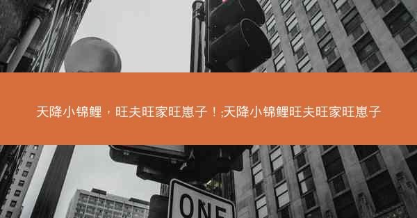 天降小锦鲤，旺夫旺家旺崽子！;天降小锦鲤旺夫旺家旺崽子
