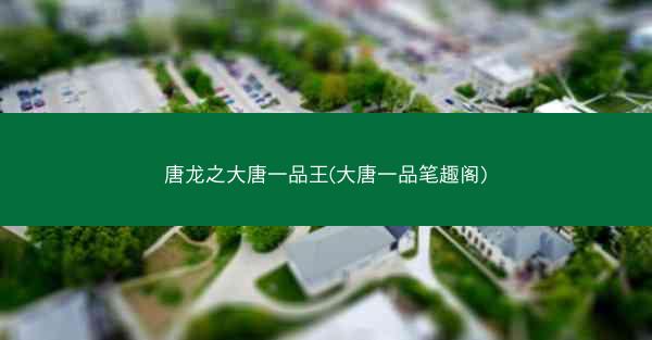 唐龙之大唐一品王(大唐一品笔趣阁)