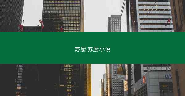 苏厨;苏厨小说