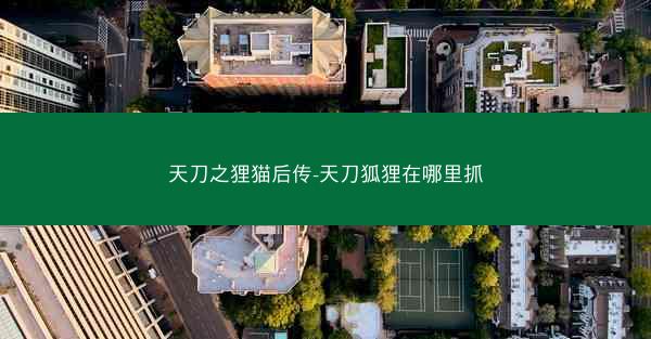 天刀之狸猫后传-天刀狐狸在哪里抓