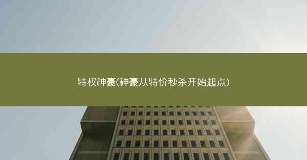特权神豪(神豪从特价秒杀开始起点)