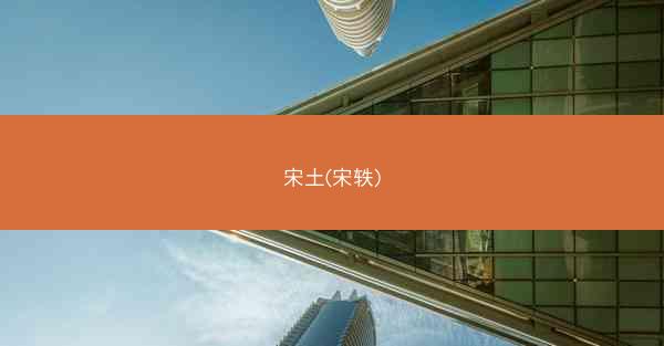 宋土(宋轶)