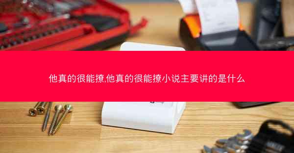 他真的很能撩,他真的很能撩小说主要讲的是什么