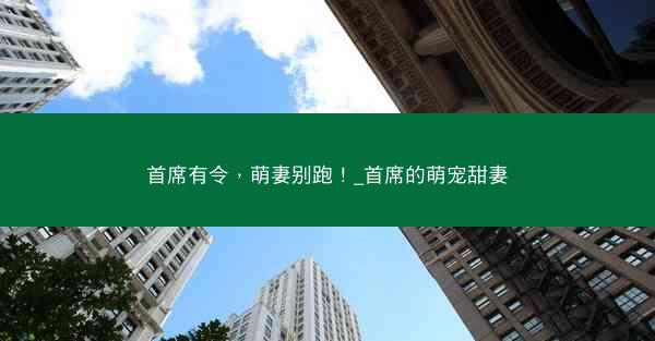 首席有令，萌妻别跑！_首席的萌宠甜妻