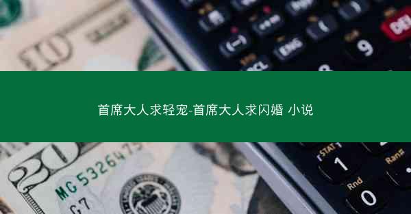 首席大人求轻宠-首席大人求闪婚 小说