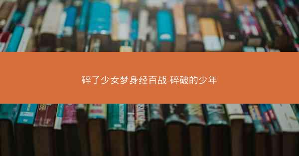 碎了少女梦身经百战-碎破的少年
