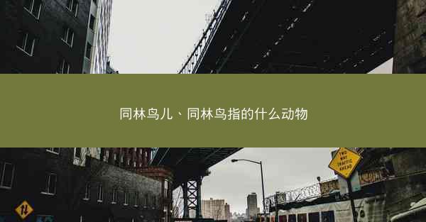 同林鸟儿、同林鸟指的什么动物