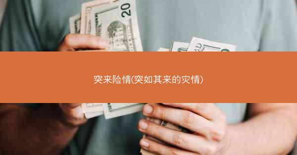 突来险情(突如其来的灾情)