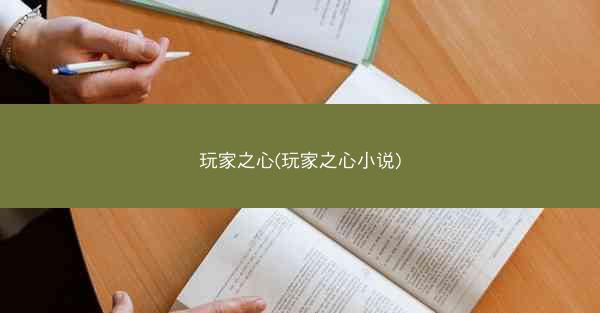 玩家之心(玩家之心小说)