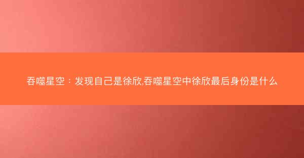 吞噬星空：发现自己是徐欣,吞噬星空中徐欣最后身份是什么