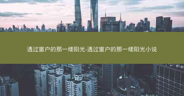 透过窗户的那一缕阳光-透过窗户的那一缕阳光小说