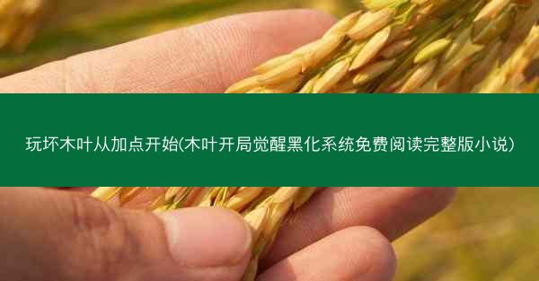玩坏木叶从加点开始(木叶开局觉醒黑化系统免费阅读完整版小说)