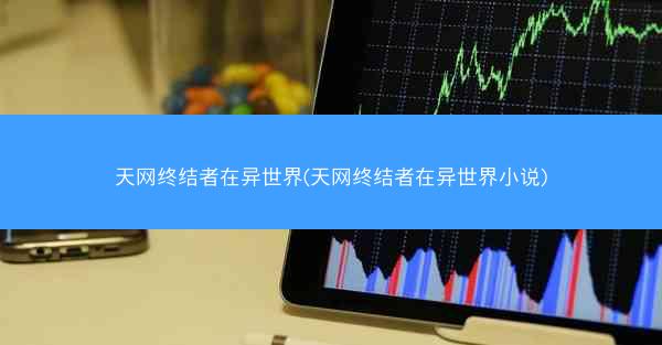 天网终结者在异世界(天网终结者在异世界小说)