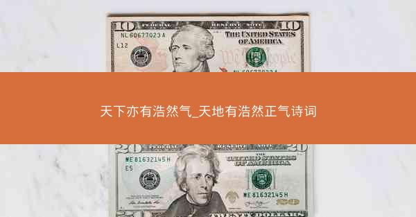 天下亦有浩然气_天地有浩然正气诗词