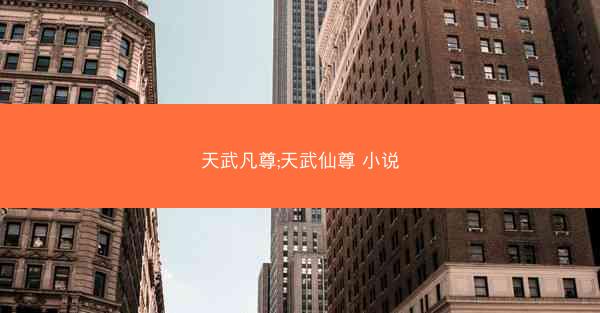 天武凡尊;天武仙尊 小说
